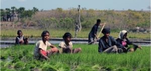 People of Sumba