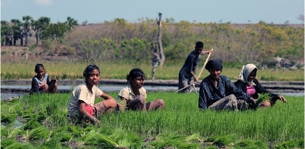 People of Sumba